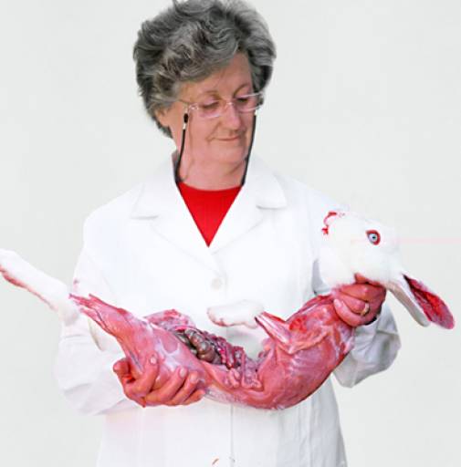 fino al 28.VI.2008 | Obiezioni | Firenze, Teatro Comunale fino al 28.VI.2008 | Obiezioni | Firenze, Teatro Comunale