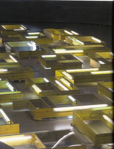 fino al 31.VIII.2008 | Pedro Cabrita Reis / Mario Merz | Torino, Fondazione Merz