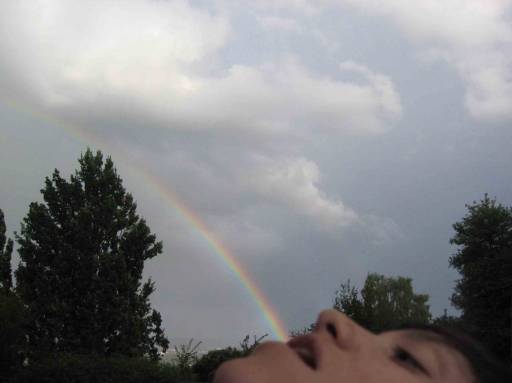 fino al 26.VII.2008 | Dafne Boggeri | Milano, Careof fino al 26.VII.2008 | Dafne Boggeri | Milano, Careof