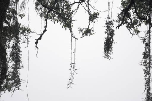 fino al 12.VII.2008 | Lorenzo Jucker | Milano, Nepente fino al 12.VII.2008 | Lorenzo Jucker | Milano, Nepente