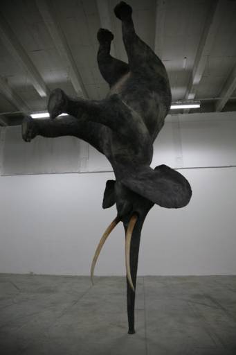 fino al 24.VIII.2008 | Superdome | Paris, Palais de Tokyo fino al 24.VIII.2008 | Superdome | Paris, Palais de Tokyo