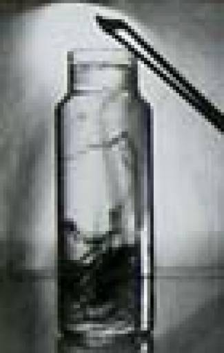 fino al 18.VIII.2008 | Claudio Ambrosini | Trieste, Studio Tommaseo