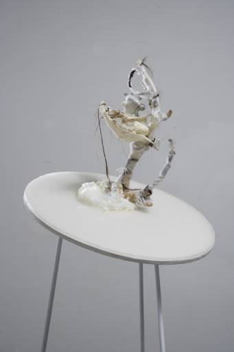 fino al 13.IX.2008 | Cristiana Palandri | Firenze, Daniele Ugolini