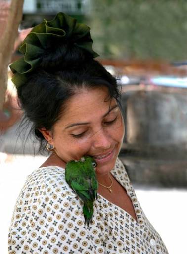 fino al 28.IX.2008 | Verde | Bari, Sala Murat