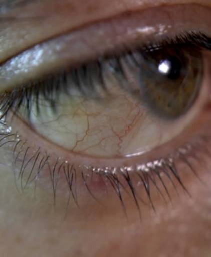 fino al 15.X.2008 | Gianluca e Massimiliano De Serio | Torino, Guido Costa