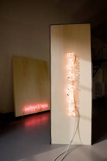 fino al 29.X.2008 | Tom Burr | Torino, Franco Noero fino al 29.X.2008 | Tom Burr | Torino, Franco Noero