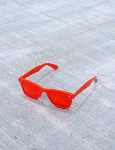 fino al 26.XI.2008 | Todd Pavlisko & Maximilian Schubert | Napoli, Changing Role