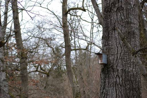 fino al 20.XI.2008 | Helen Mirra & Alison Knowles | Genova, Pinksummer / Unimedia Modern fino al 20.XI.2008 | Helen Mirra & Alison Knowles | Genova, Pinksummer / Unimedia Modern