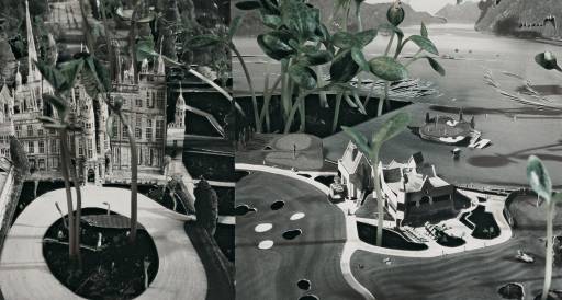 fino al 20.XI.2008 | Rob Carter | Roma, Pastificio Cerere