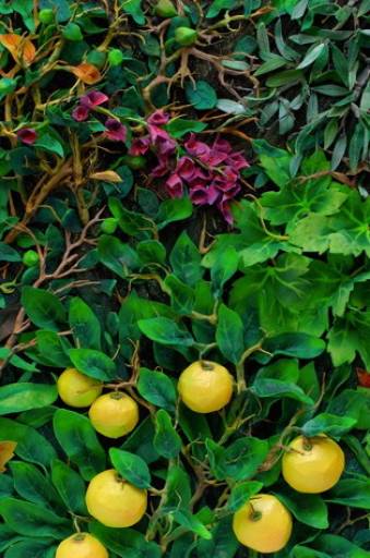 fino al 29.XI.2008 | Piero Gilardi | Modena, Galleria ModenArte