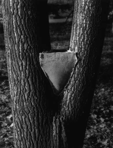 fino al 6.I.2009 | Paolo Mussat Sartor | Torino, Palazzo Cavour