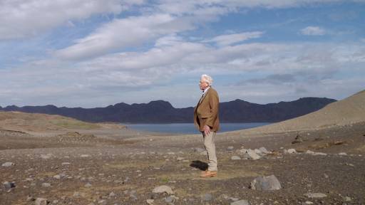 fino al 10.I.2009 | Bruno Muzzolini | Brescia, Fabio Paris