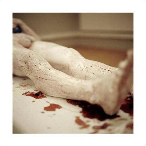 fino al 9.II.2009 | Franko B. | Napoli, Changing Role