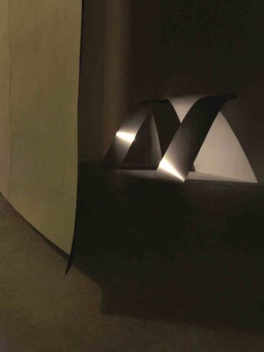 fino al 20.XII.2008 | Naama Tsabar | Milano, Pianissimo