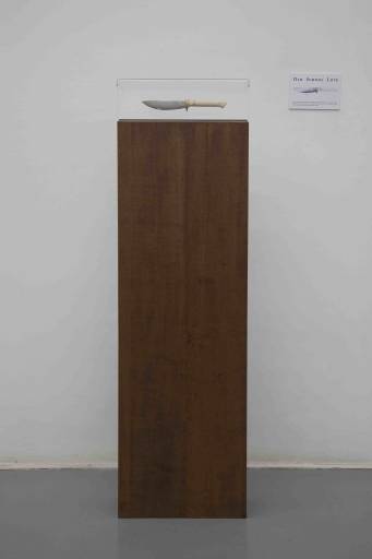 fino al 9.I.2009 | Piero Golia | Napoli, Galleria Fonti fino al 9.I.2009 | Piero Golia | Napoli, Galleria Fonti