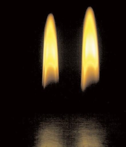 fino al 23.II.2009 | Ceal Floyer | Napoli, Madre