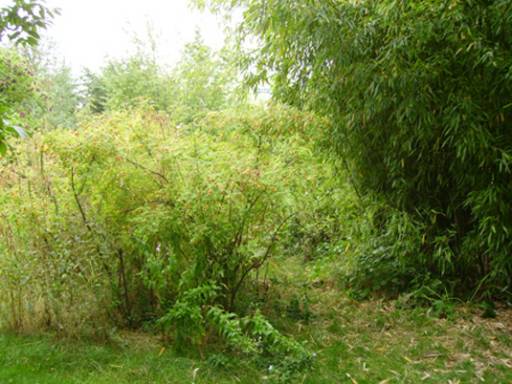 libri_personaggi | Gilles Clément