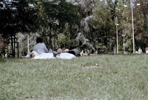 fino al 18.I.2009 | Marina Ballo Charmet | Milano, Triennale