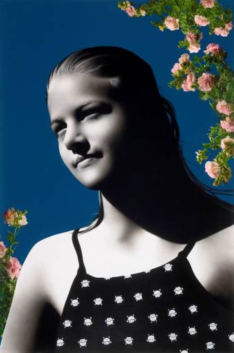 fino al 31.I.2009 | Heidi McFall | Roma, Z2O Galleria