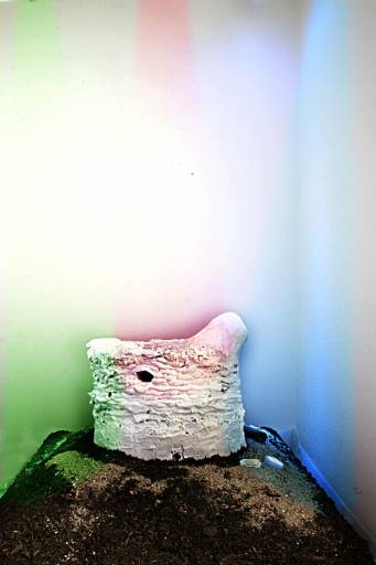 fino al 28.II.2009 | Aka | Bergamo, Traffic Gallery