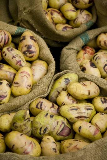 fino all’1.III.2009 | Gabriele Basilico / Speranze e dubbi | Torino, Fondazione Merz