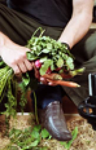 fino al 31.III.2009 | Dani Gal | Prato, Museo Pecci