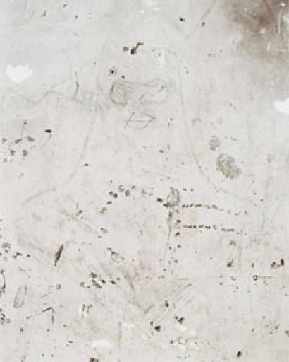 fino al 21.III.2009 | Adam Broomberg & Oliver Chanarin | Roma, BrancoliniGrimaldi