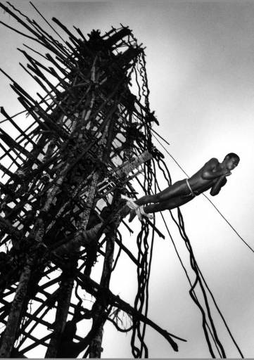 fino al 26.IV.2009 | Giorgia Fiorio | Roma, Istituto Nazionale per la Grafica fino al 26.IV.2009 | Giorgia Fiorio | Roma, Istituto Nazionale per la Grafica