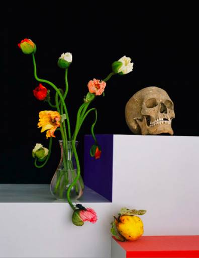 fino al 4.IV.2009 | Shirana Shahbazi | Milano, Cardi Black Box fino al 4.IV.2009 | Shirana Shahbazi | Milano, Cardi Black Box