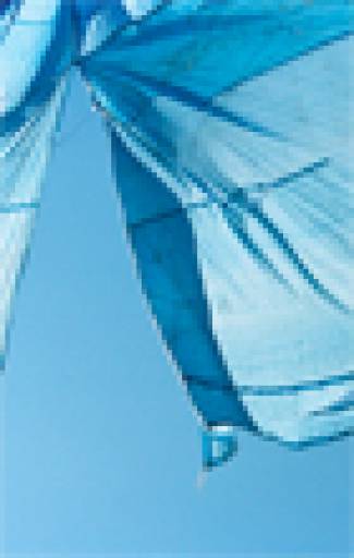 fino al 28.III.2009 | Benoît Pailley | Arezzo, Furini