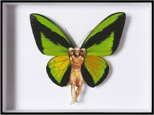 resoconto | Martial Cherrier | Milano, Spazio Forma