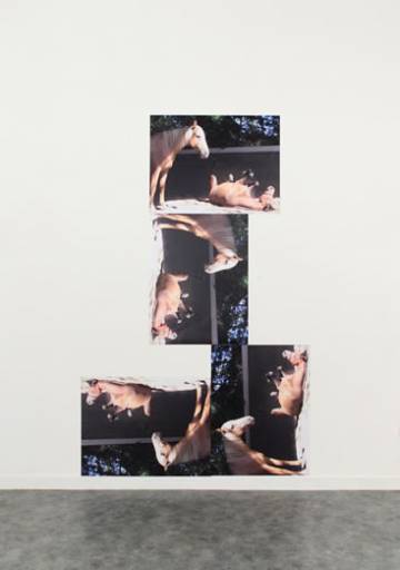 fino al 7.V.2009 | Clément Rodzielski | Lecco, Federico Bianchi fino al 7.V.2009 | Clément Rodzielski | Lecco, Federico Bianchi