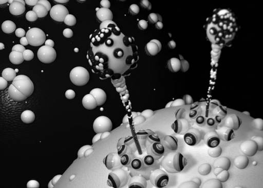 fino al 30.V.2009 | Lorenzo Oggiano | Bergamo, Traffic Gallery