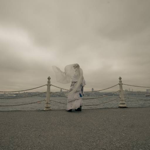 fino al 9.V.2009 | Pippa Bacca & Silvia Moro | Verona, Byblos Art Gallery