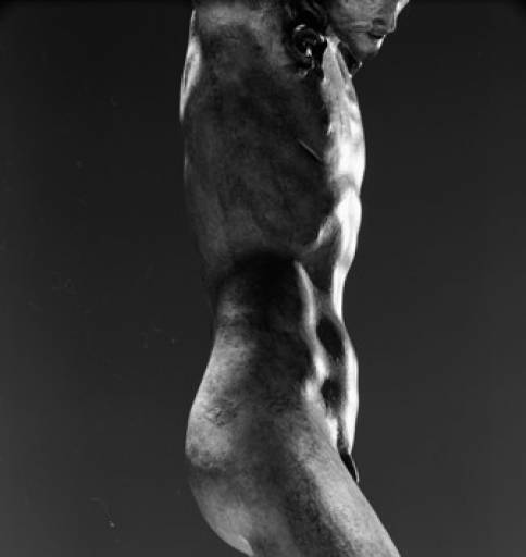 fino al 3.V.2009 | Michelangelo | Milano, Castello Sforzesco