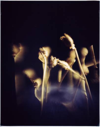 arteatro_contaminazioni | Orthographe arteatro_contaminazioni | Orthographe