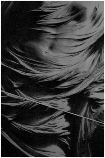 fino al 30.VI.2009 | Francesco Barocco | Torino, Norma Mangione