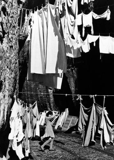 fino al 4.VI.2009 | Luciano D’Alessandro | Napoli, Museo di Capodimonte