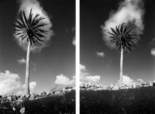 fino al 30.VI.2009 | Peter Schlör | Milano, Zonca & Zonca fino al 30.VI.2009 | Peter Schlör | Milano, Zonca & Zonca