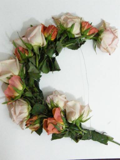 fino al 20.VI.2009 | Danica Phelps | Torino, Glance