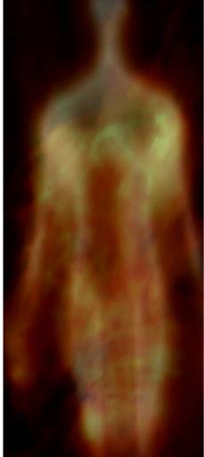 fino al 20.VI.2009 | Dialoghi di Luce | Scafati (sa), Chiesa di San Francesco di Paola