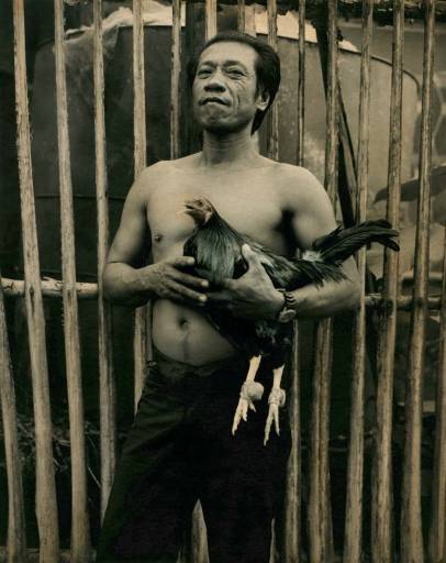 fino al 4.VII.2009 | Ingar Krauss | Milano, Suzy Shammah