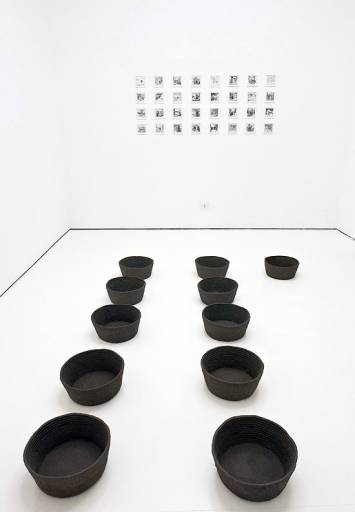 fino al 31.VII.2009 | …Wondering Where the ducks Went… | Salerno, Tiziana Di Caro