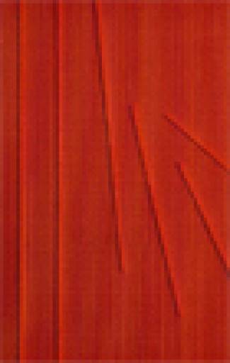 fino al 30.VI.2009 | Gianfranco Zappettini | Firenze, Santo Ficara