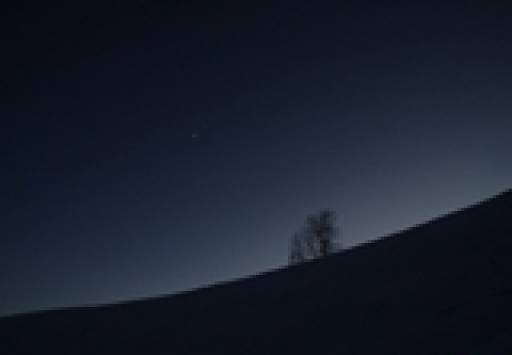 fino al 15.VII.2009 | Erica Fenaroli | Brescia, Citric fino al 15.VII.2009 | Erica Fenaroli | Brescia, Citric