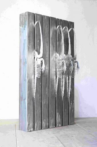 fino al 31.VII.2009 | Nicola Salvatore | Milano, Antonio Battaglia fino al 31.VII.2009 | Nicola Salvatore | Milano, Antonio Battaglia