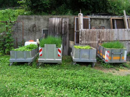 fino all’1.XI.2009 | Carmen Müller | Bolzano, Museion fino all’1.XI.2009 | Carmen Müller | Bolzano, Museion