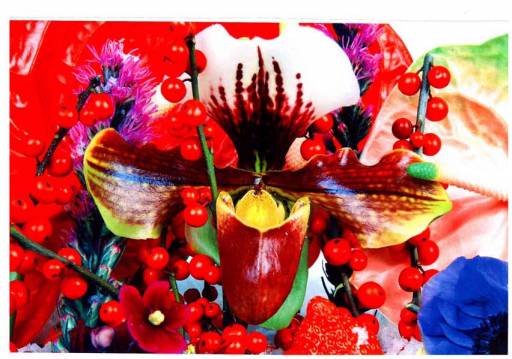 fino al 30.IX.2009 | I paesaggi e la natura dell’arte | Benevento, Arcos