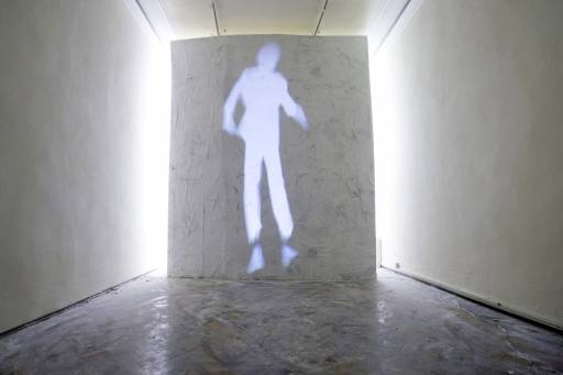 fino all’8.XI.2009 | A camel is a horse designed by a committee | Venezia, Fondazione Bevilacqua La Masa / Fondazione Buziol fino all’8.XI.2009 | A camel is a horse designed by a committee | Venezia, Fondazione Bevilacqua La Masa / Fondazione Buziol