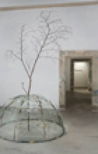 fino al 31.I.2010 | Arte/Natura – Natura/Arte | Pistoia, Palazzo Fabroni fino al 31.I.2010 | Arte/Natura – Natura/Arte | Pistoia, Palazzo Fabroni